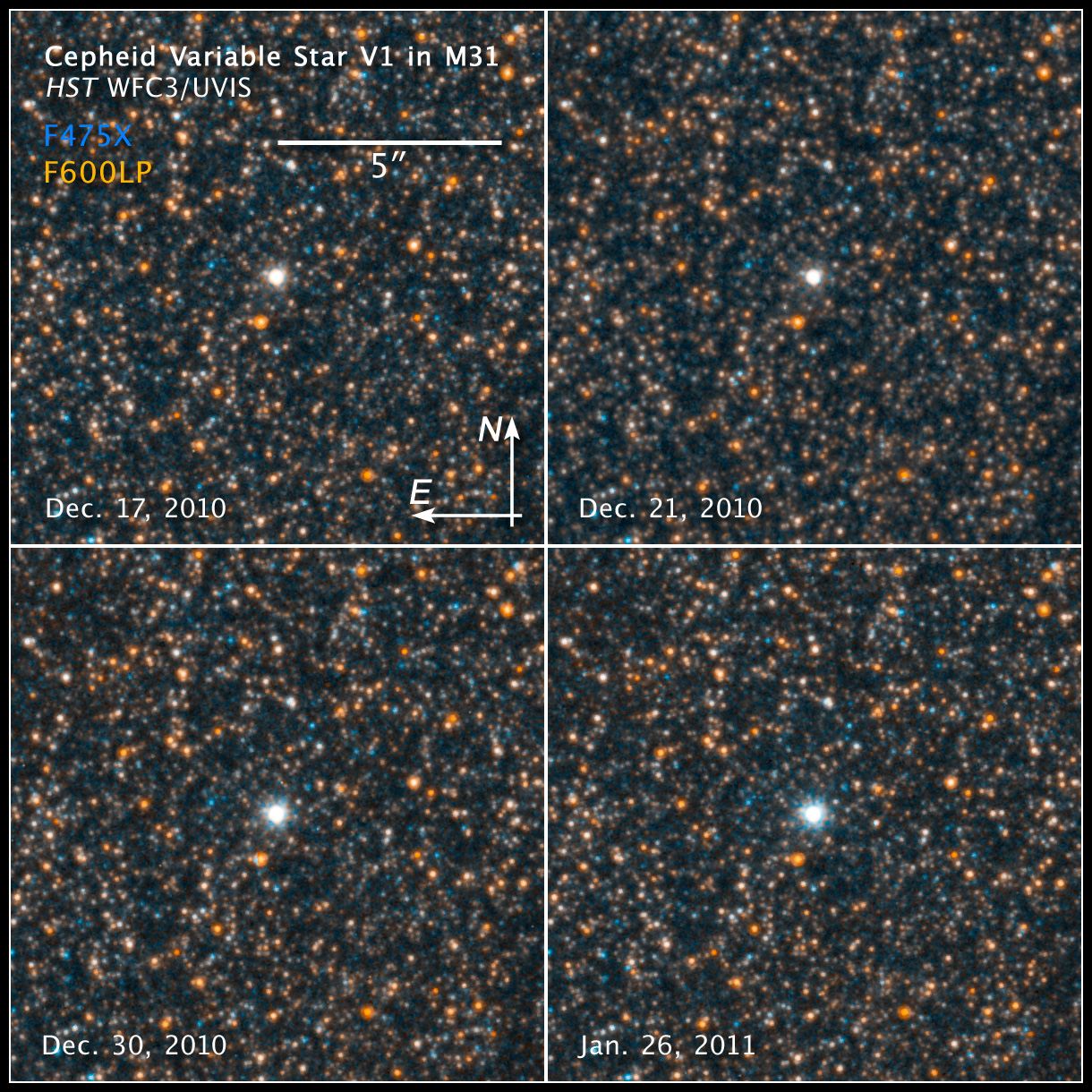 Compass and scale image of cepheid variable V1 in M31