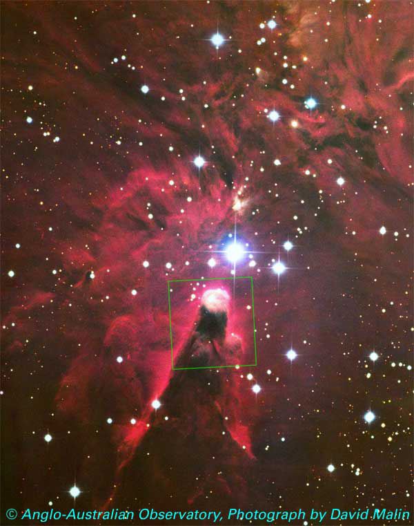 Cone Nebula