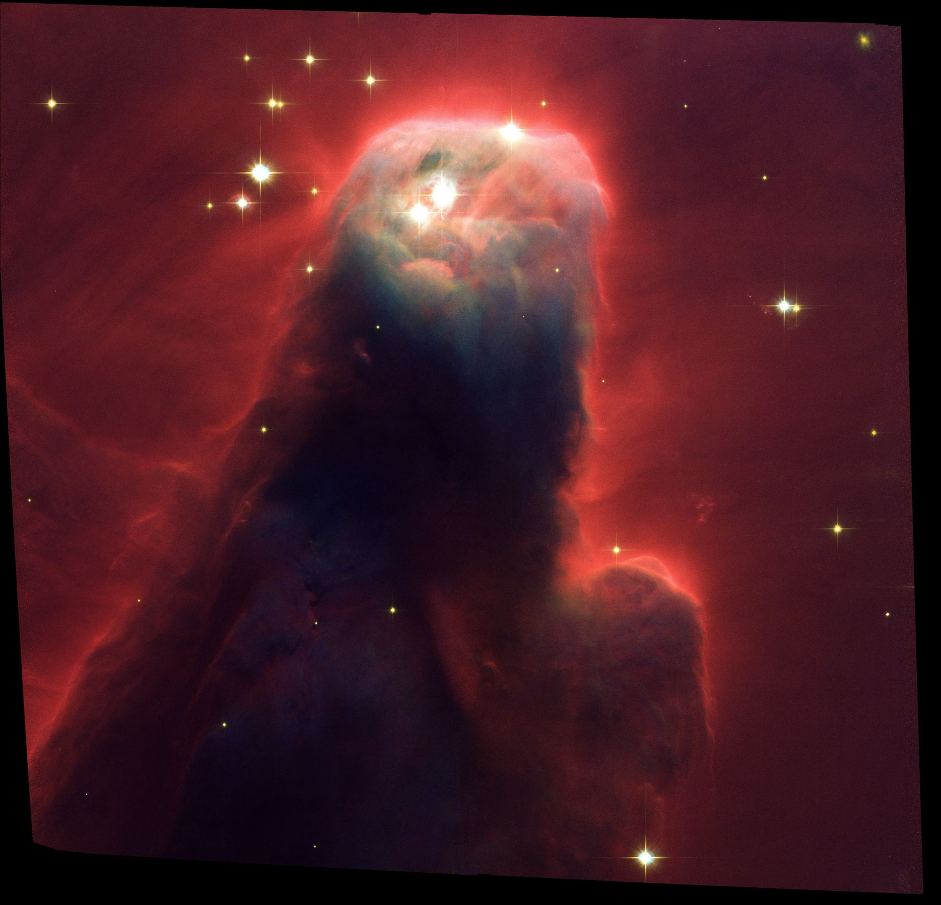 Cone NebulaNGC 2264 (ACS Full Field Image)