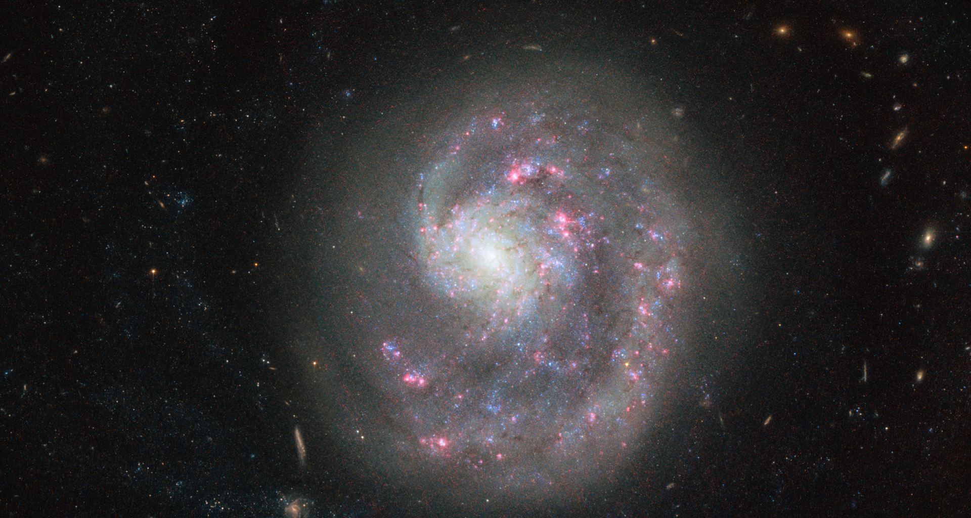 Cosmic search for a missing limb