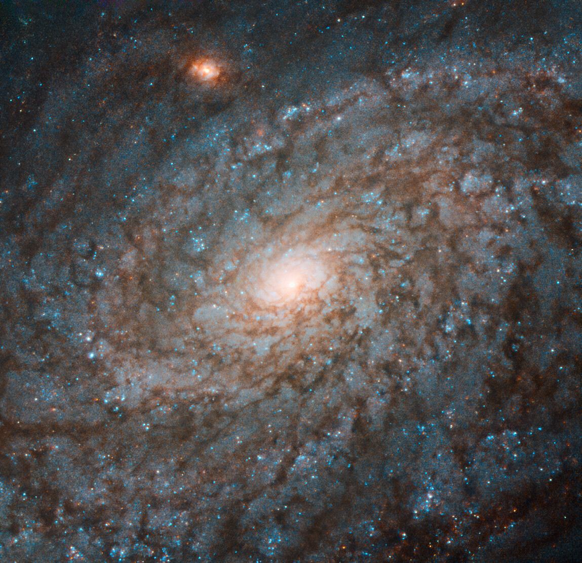 Cotton Wool Galaxy
