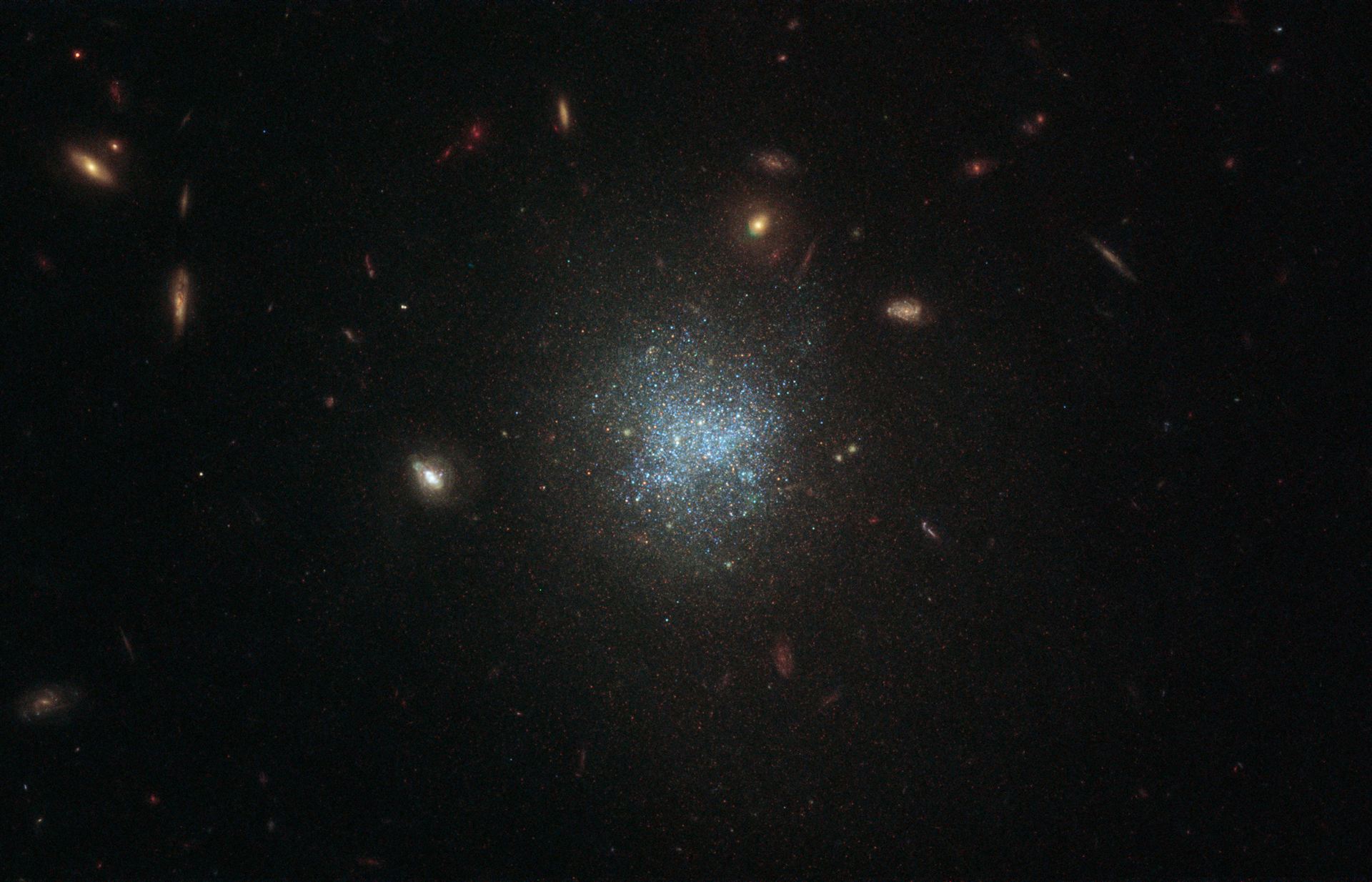 Dark Matter in the Belly of the Whale