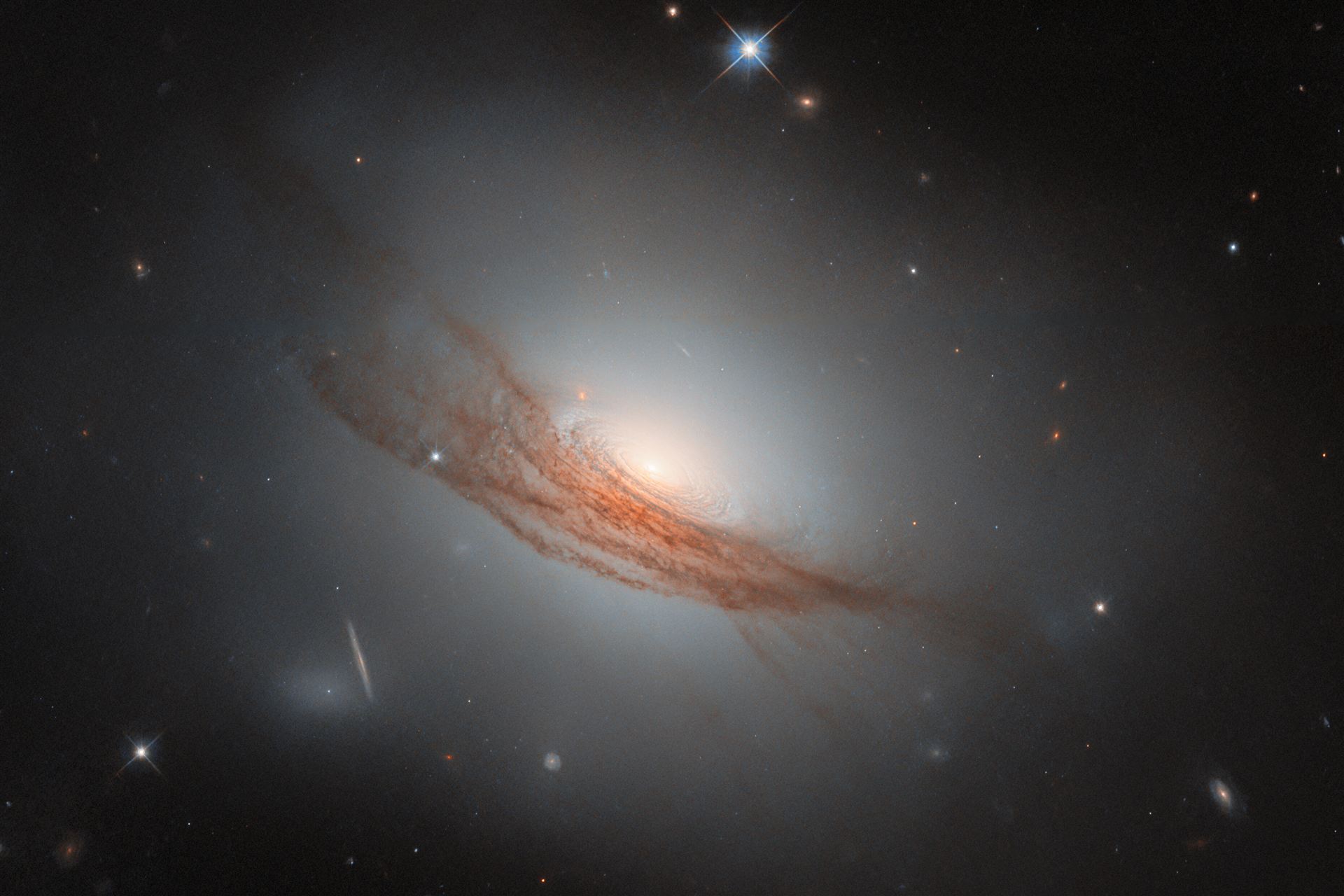 Dark rings and new light