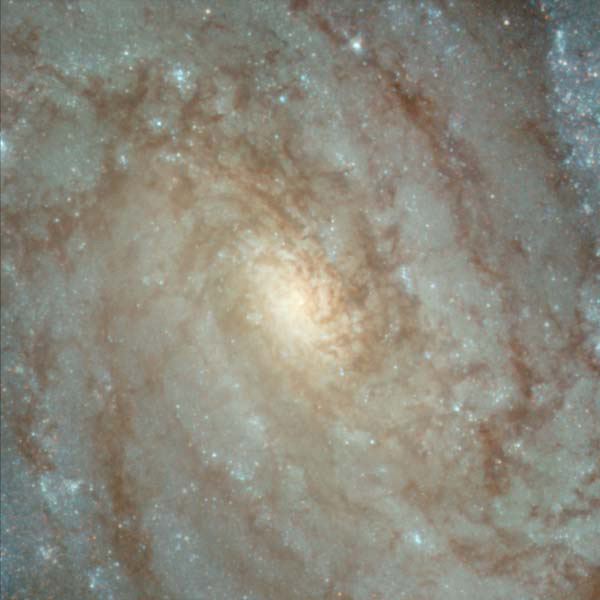Details from ACS Image of NGC 3370 Center of Galaxy