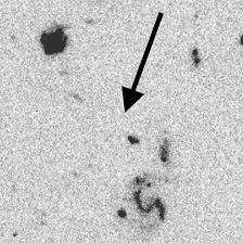 Distant Galaxy in the Hubble Deep Field