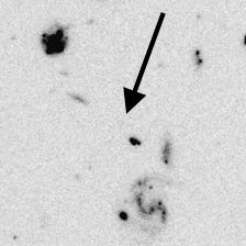 Distant Galaxy in the Hubble Deep Field