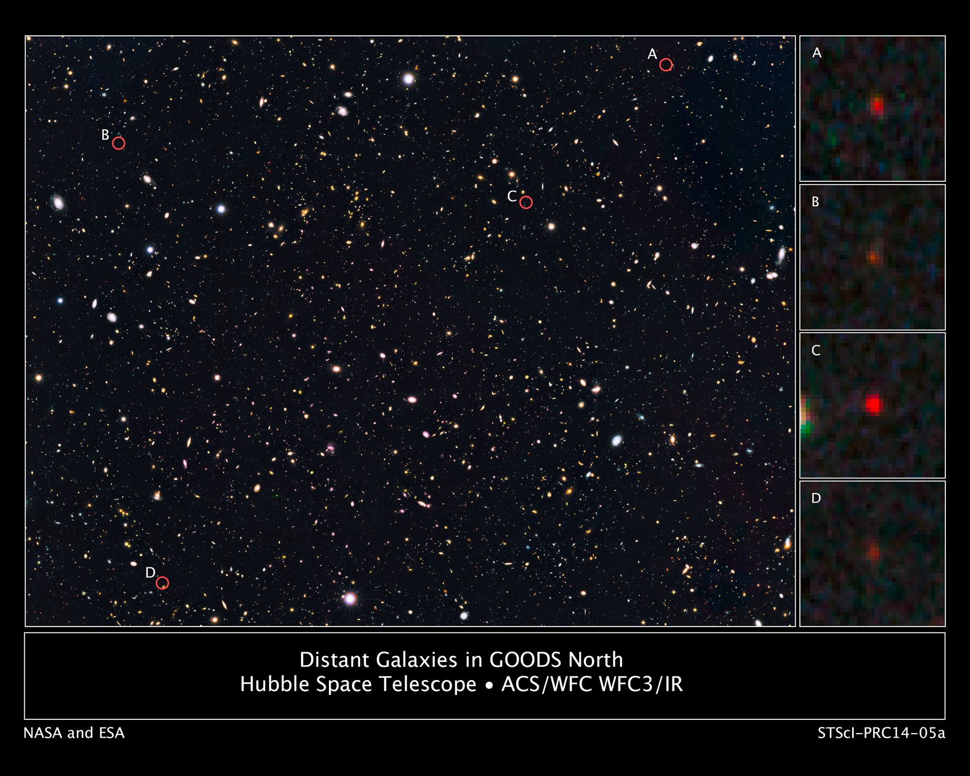 Distant galaxies in the GOODS North survey