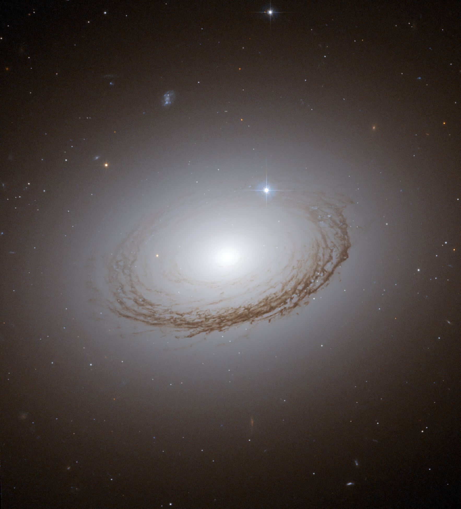 Dramatically backlit dust lanes in NGC 7049