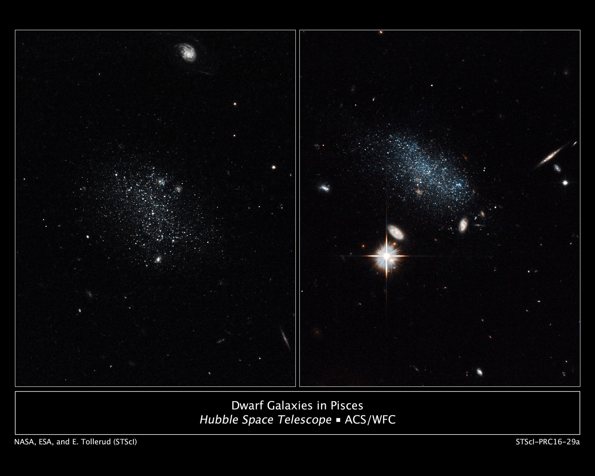 Dwarf galaxies in Pisces