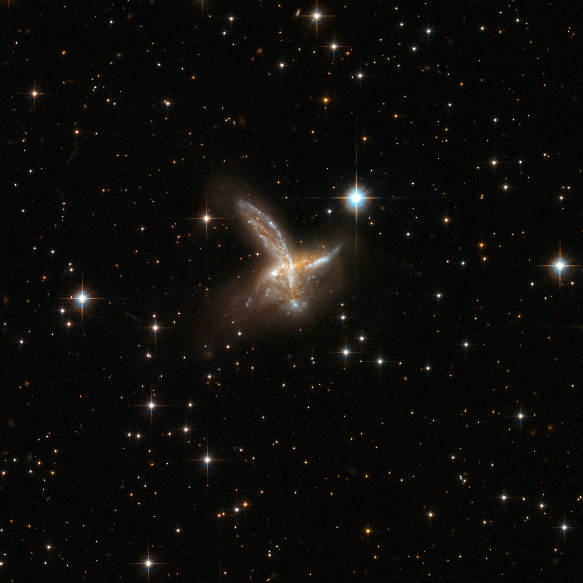 ESO 593-8