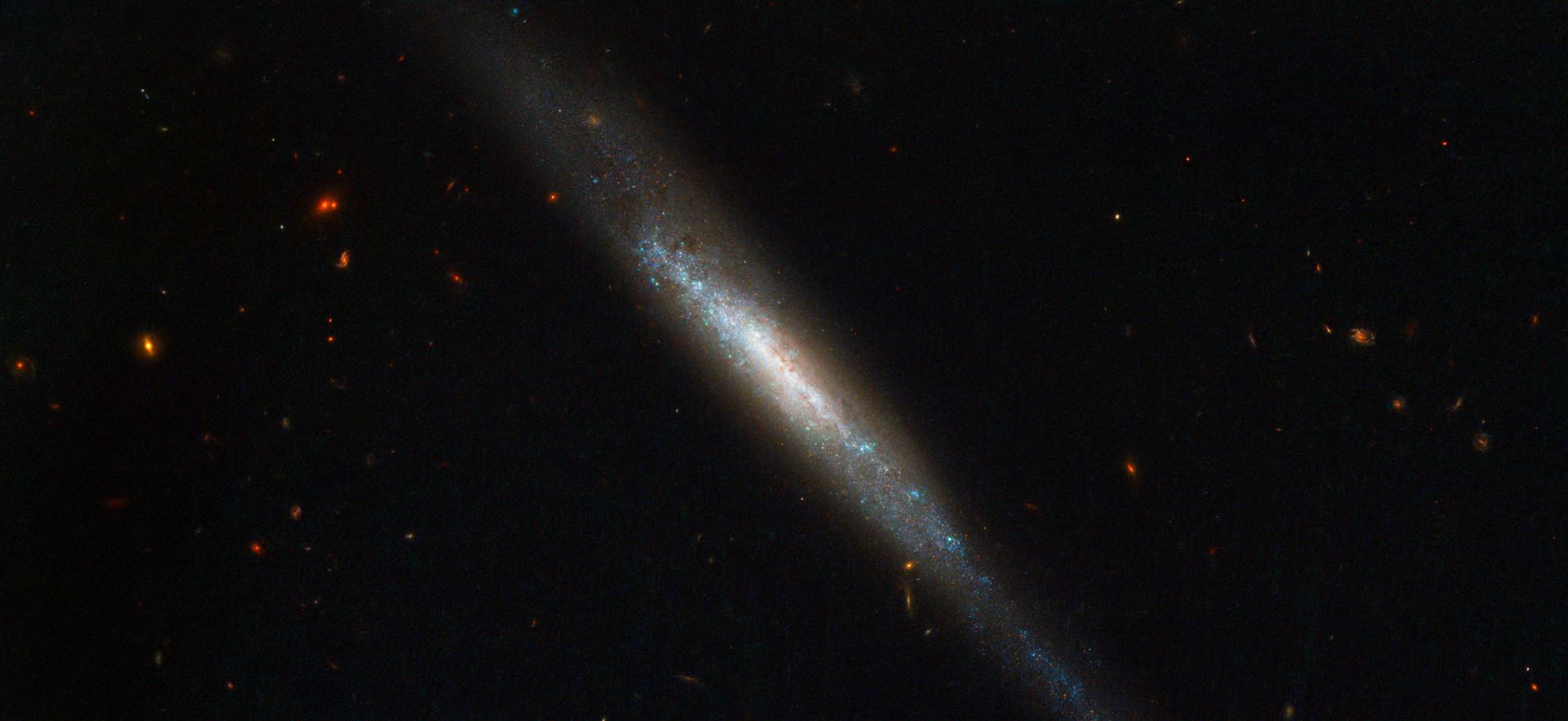 Edge-on galaxy hosts supernova explosion