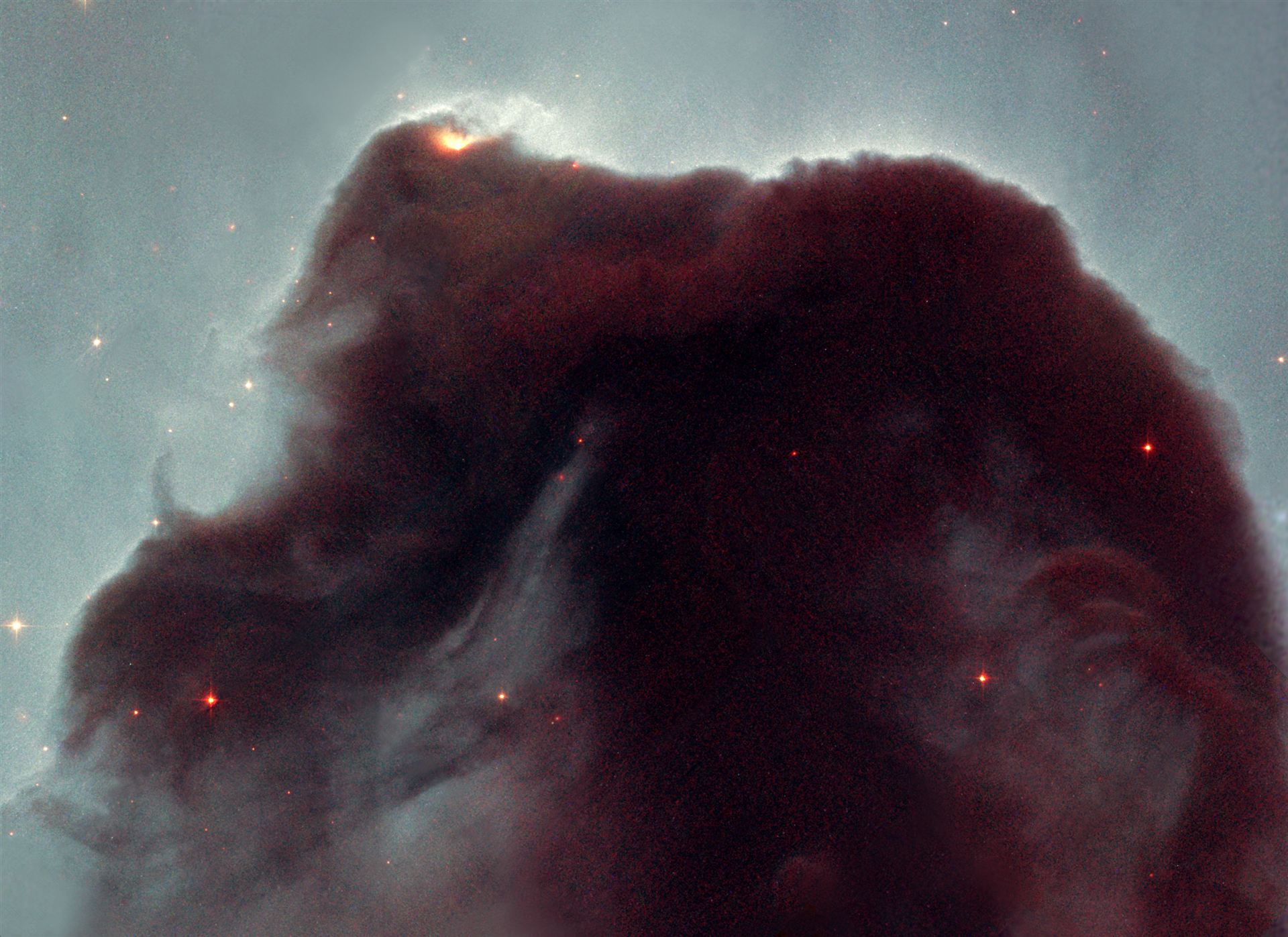 Eleven years in orbit Hubble observes the popular Horsehead nebula