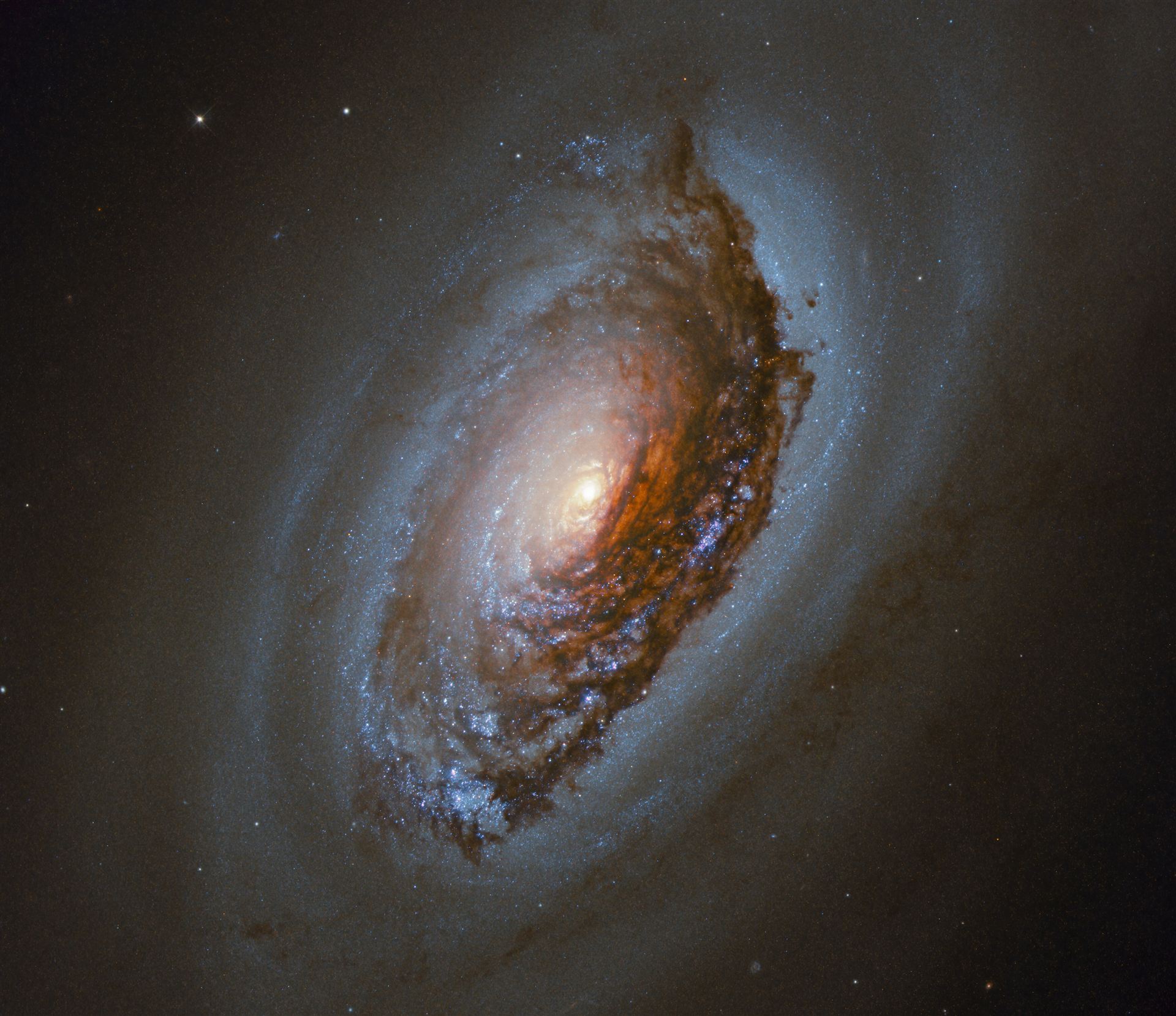 Eye in the Sky