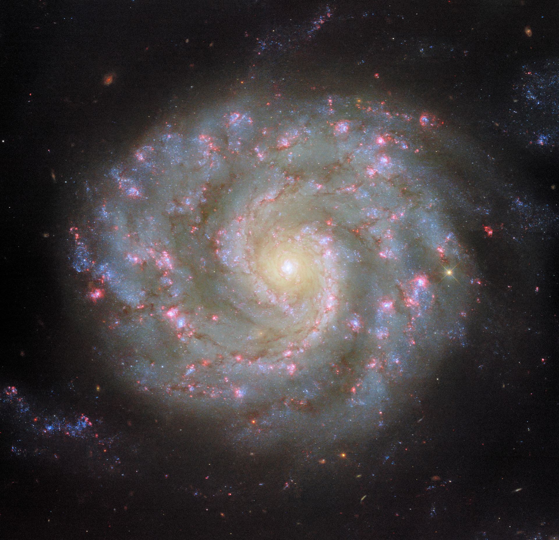Face to face with a spiral’s arms