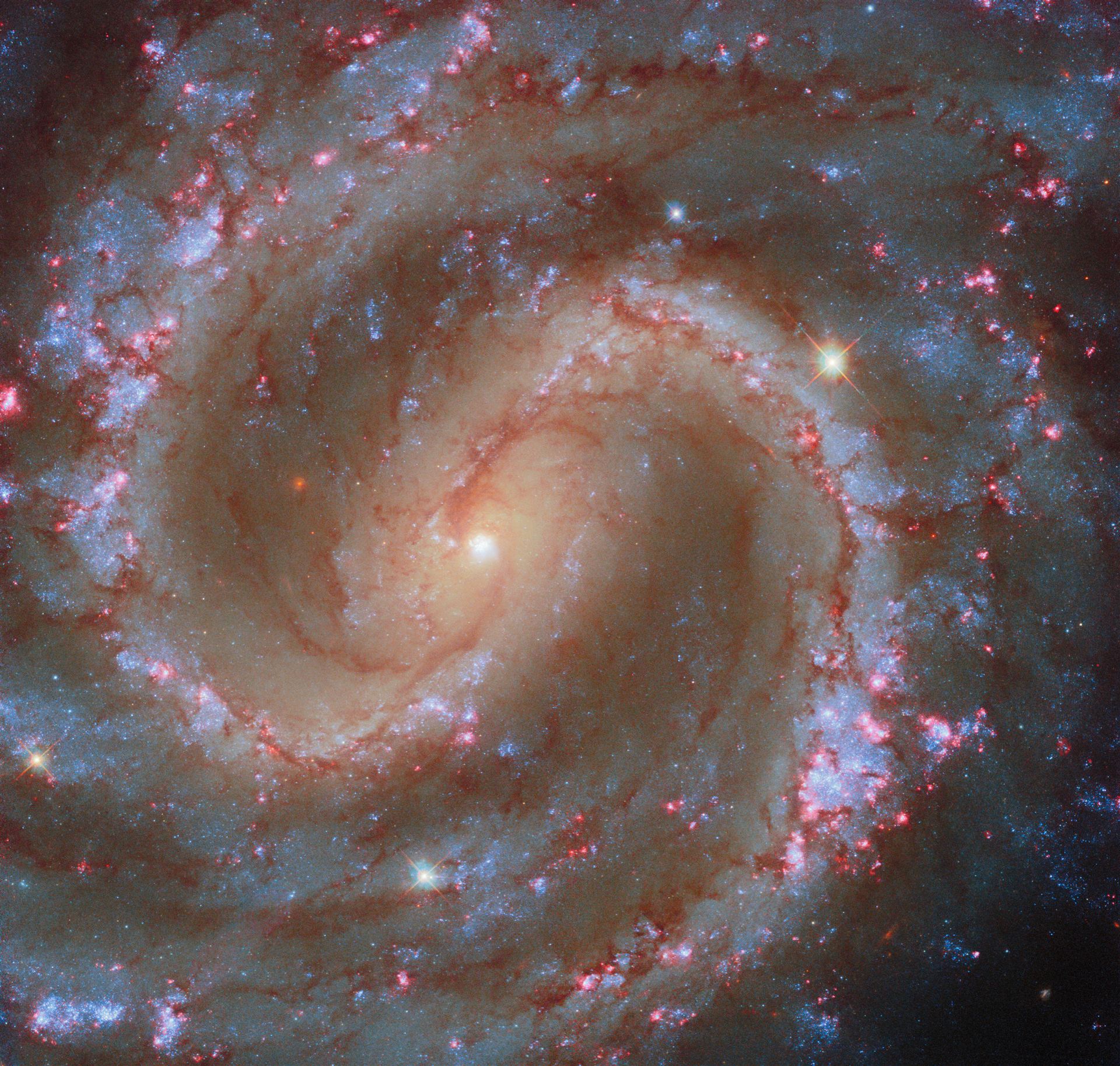 Finding star clusters in the Lost Galaxy