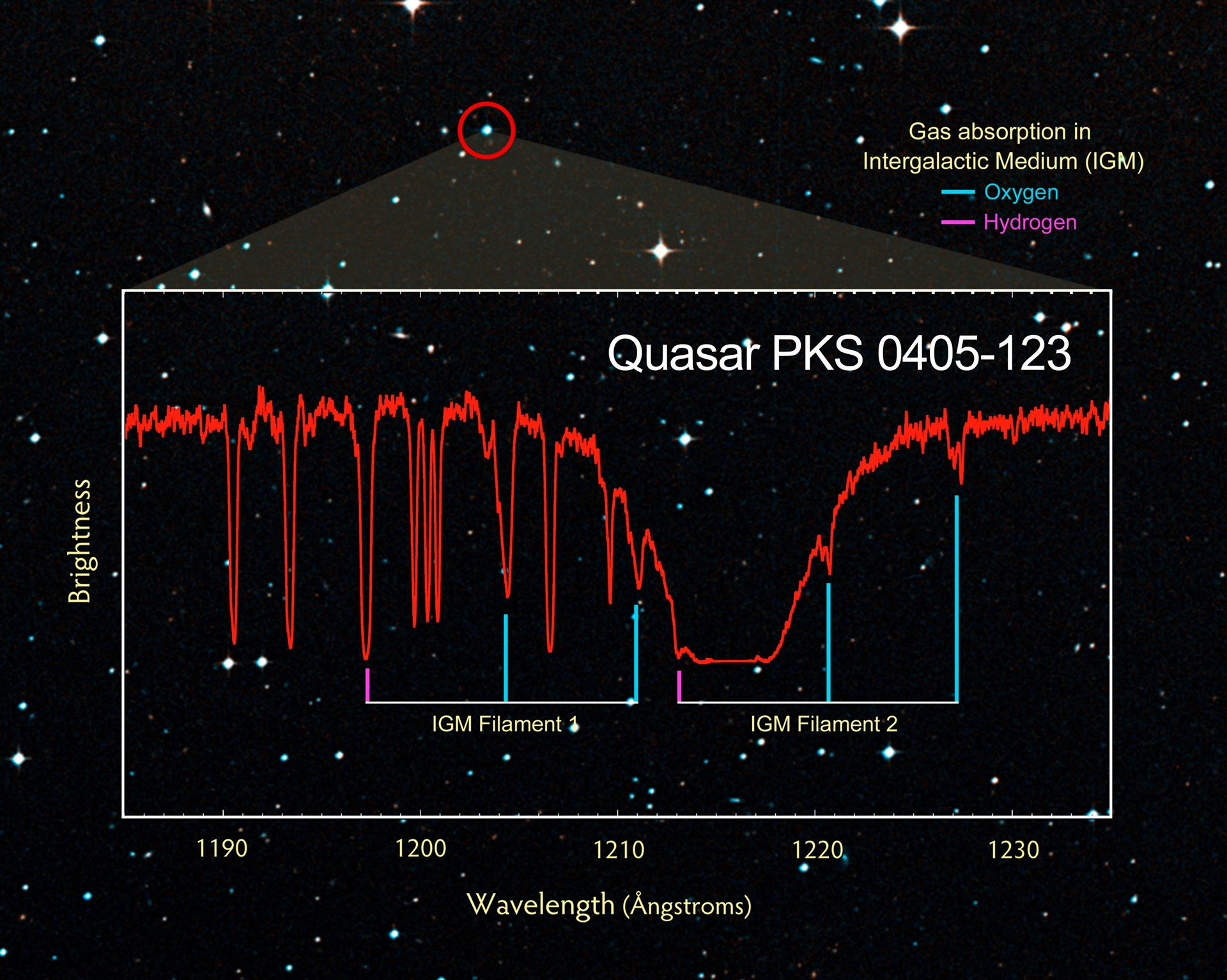 Fingerprinting the distant Universe using the light from quasar PKS 0405-123