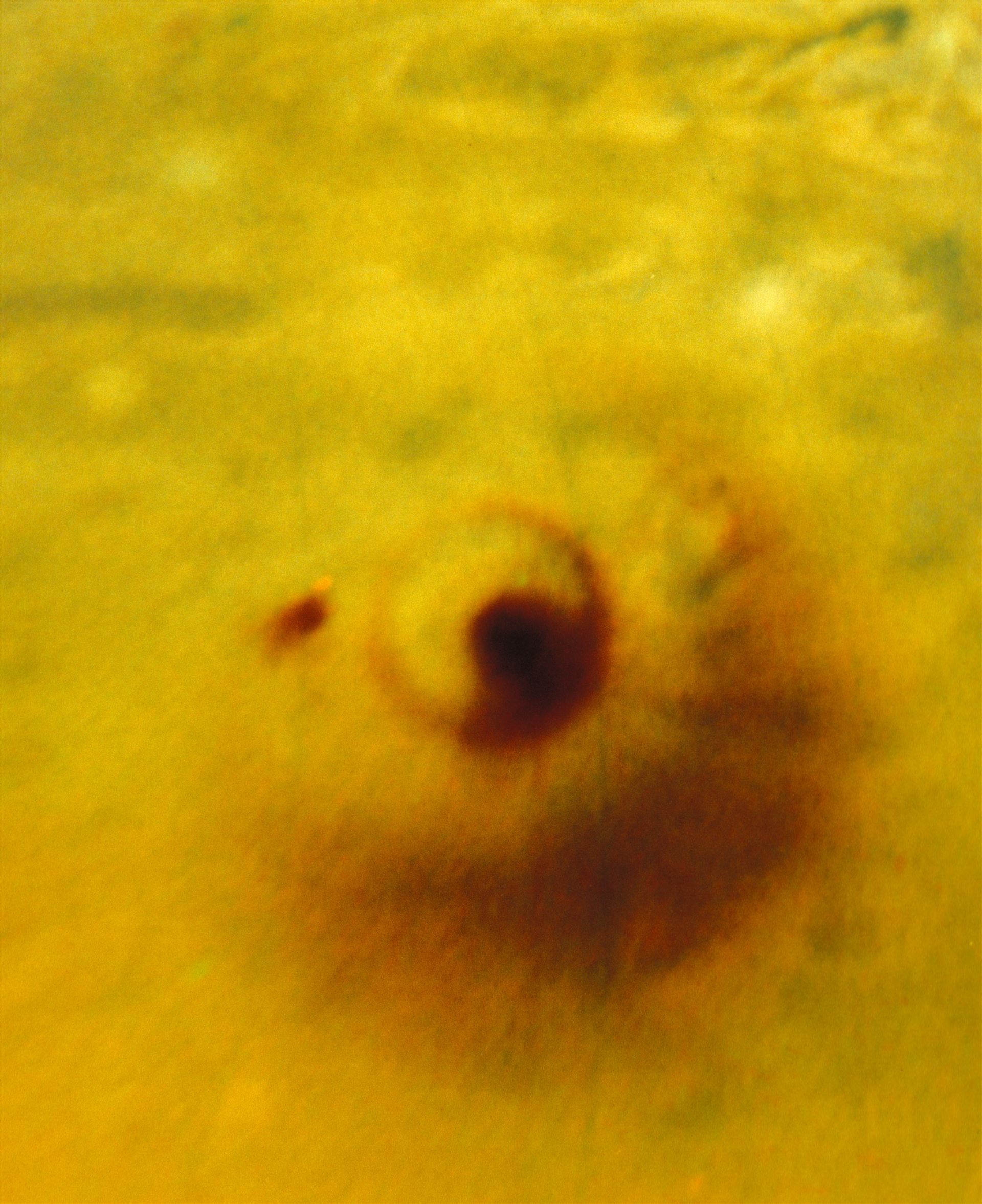 Flat Projection of Large Comet Impact on Jupiter