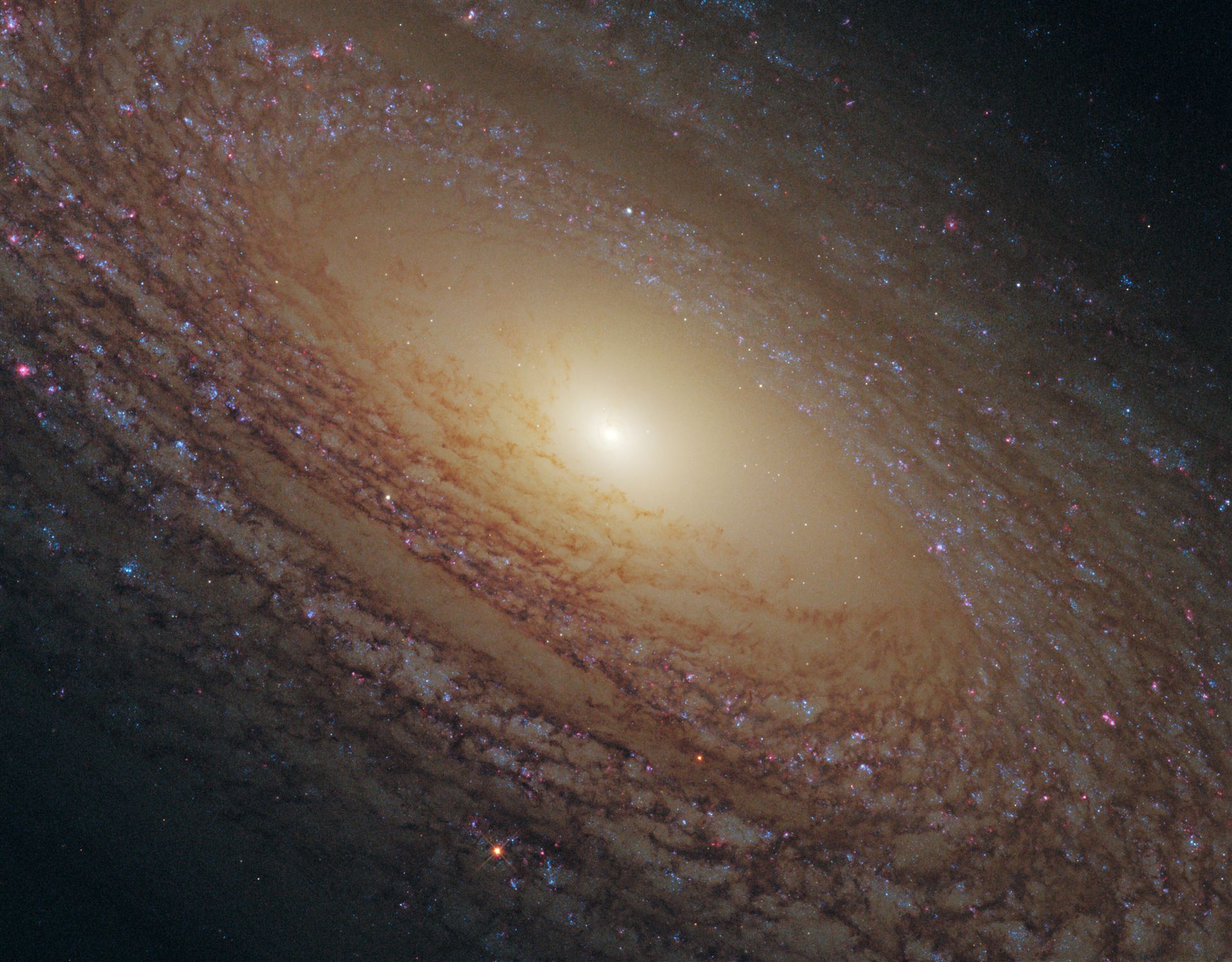 Flocculent spiral NGC 2841
