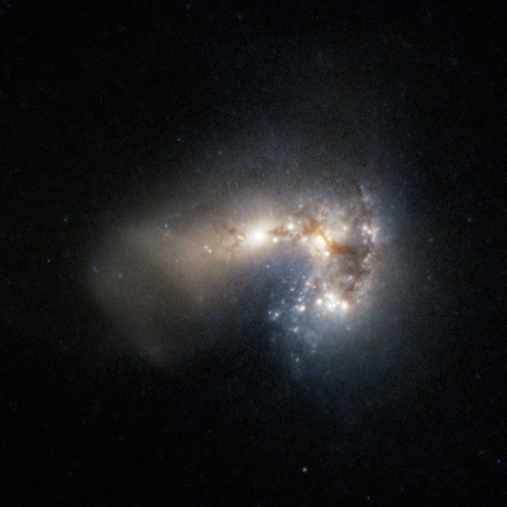 Frenzied star birth in Haro 11