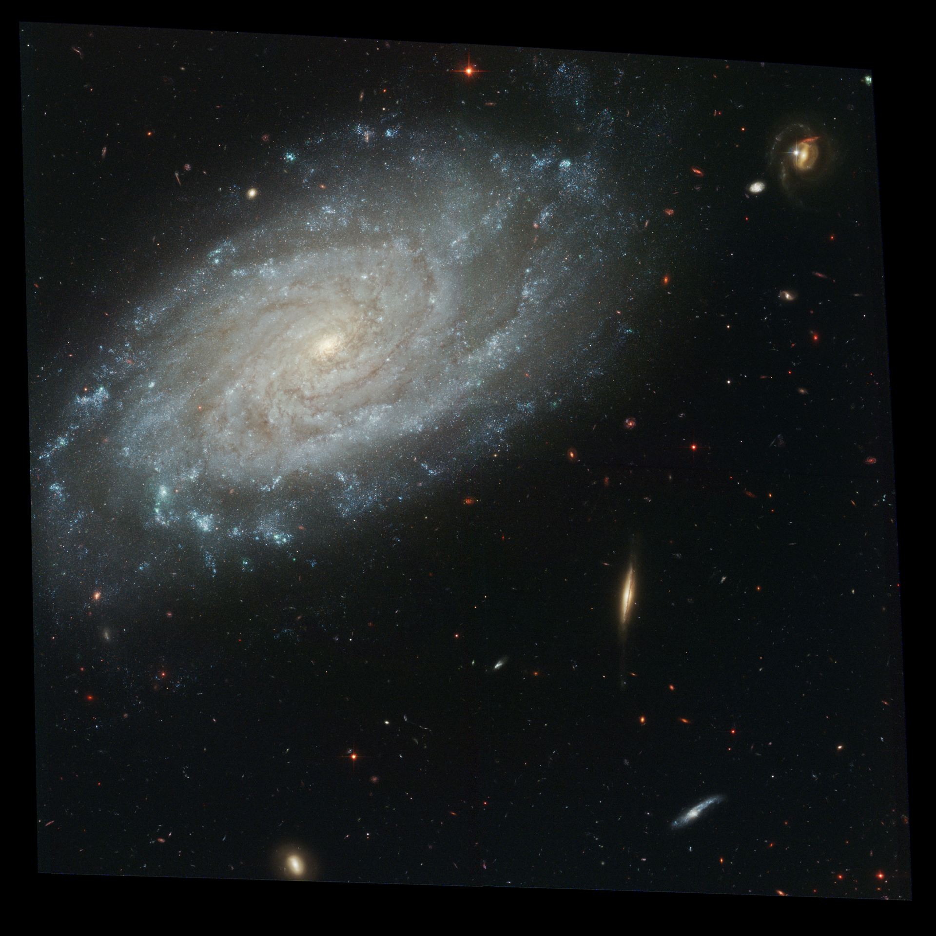 Full ACS Image of NGC 3370