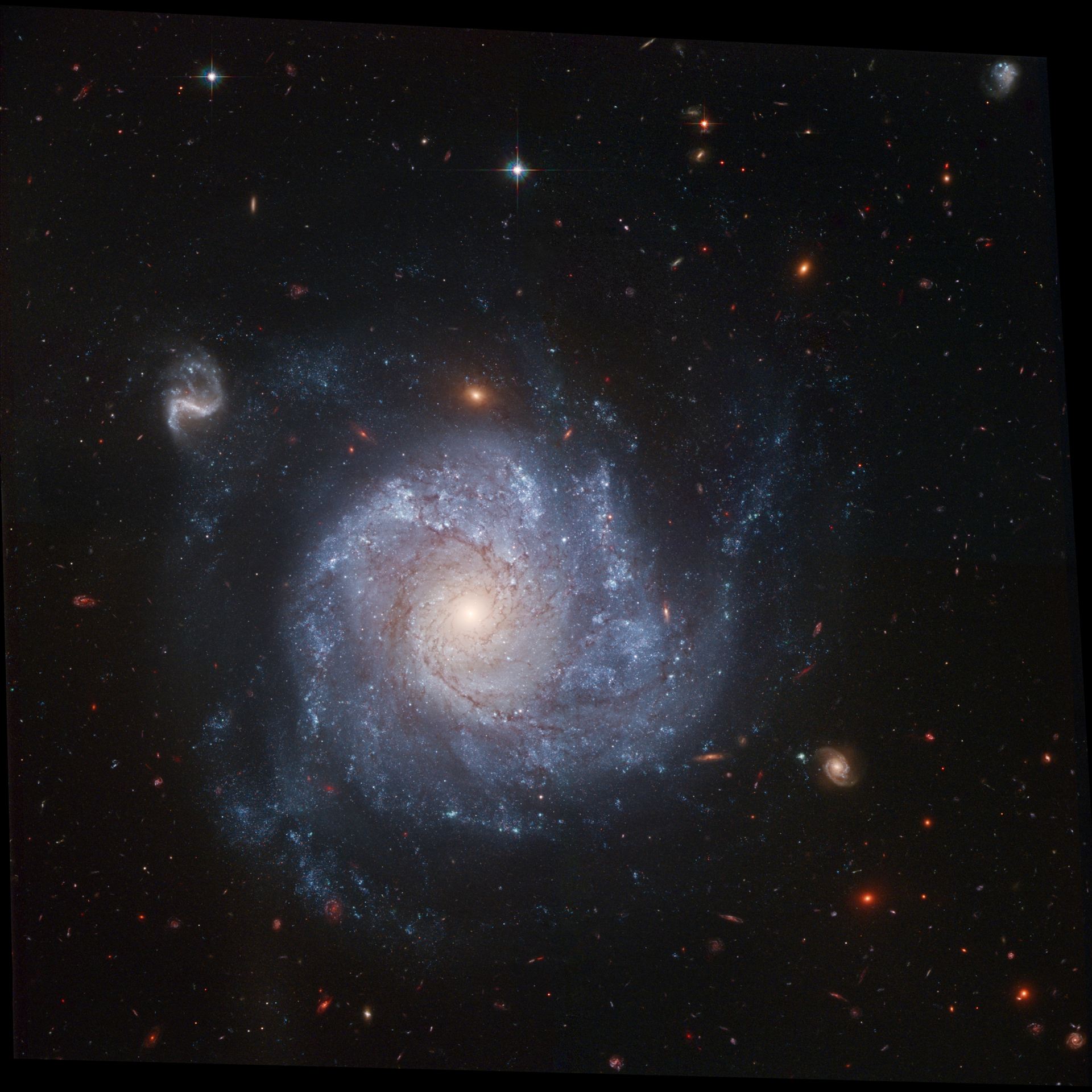Full ACS field of NGC 1309