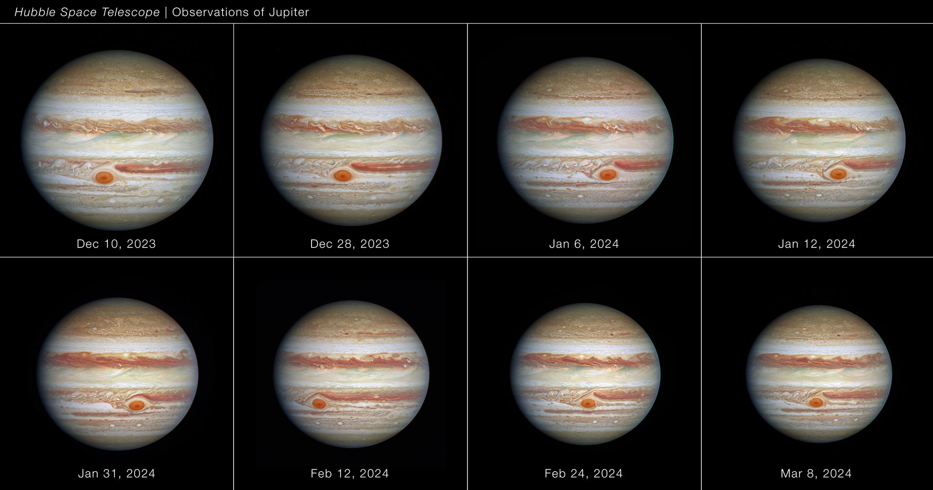 Full disc of Jupiter (December 2023 to March 2024)