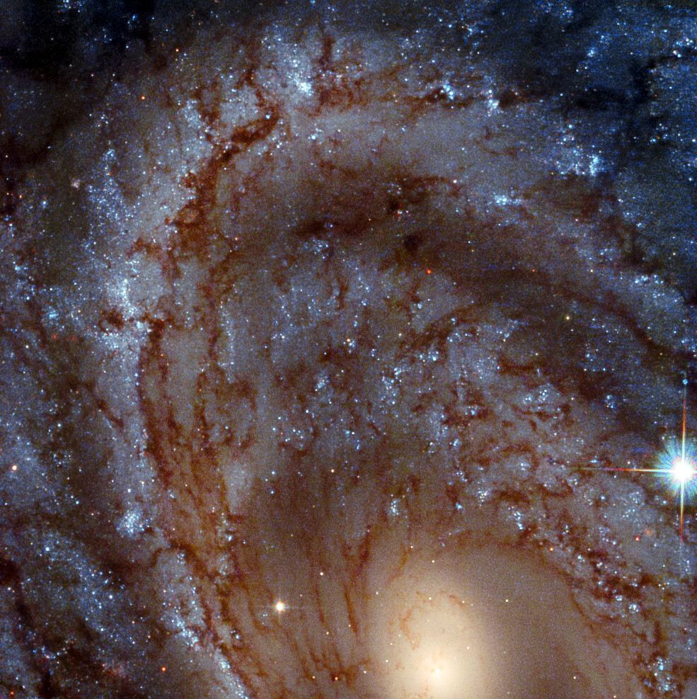 Galactic Close-Up