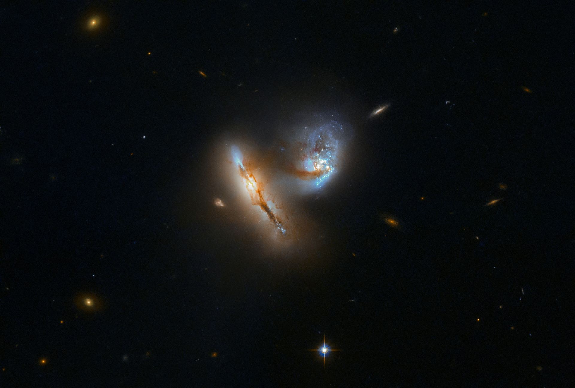 Galactic Creatures at Play