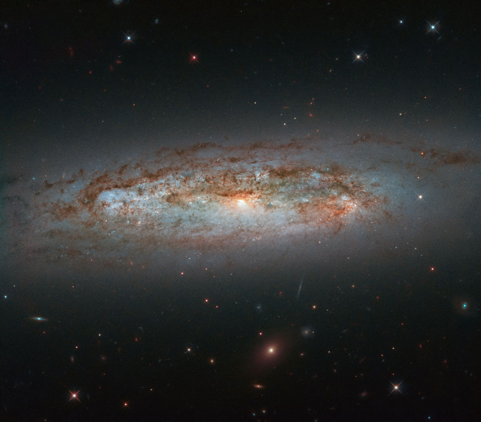 Galactic Diversity