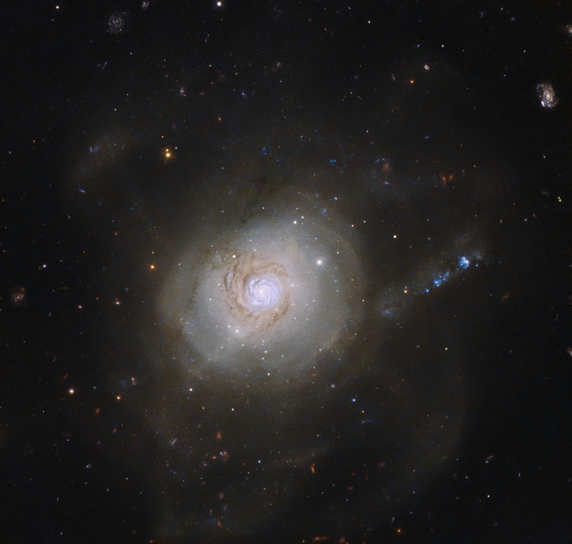 Galactic politics