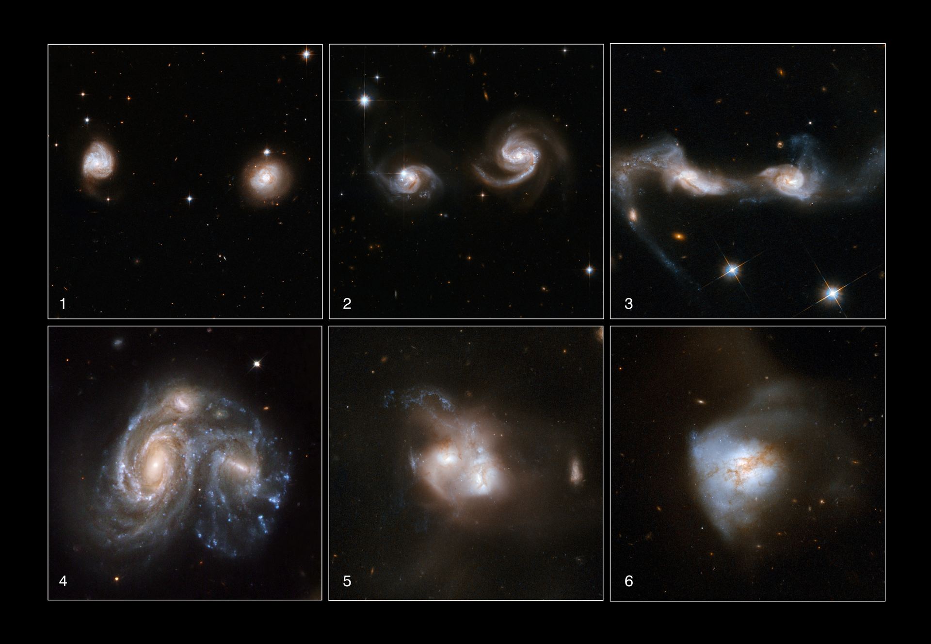 Galaxies Gone Wild!