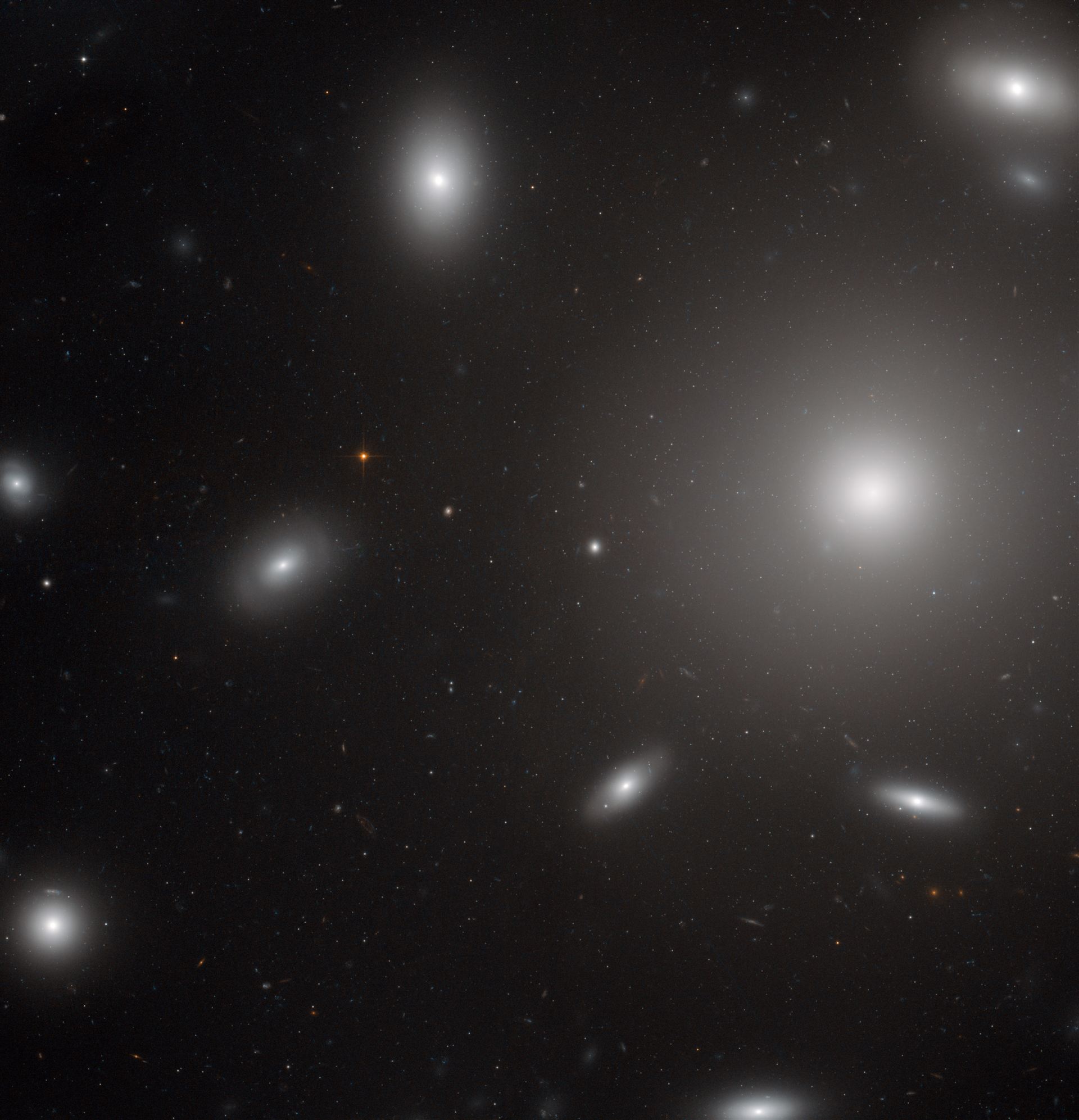 Galaxies in a swarm of star clusters