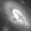 Galaxies snapshots in time