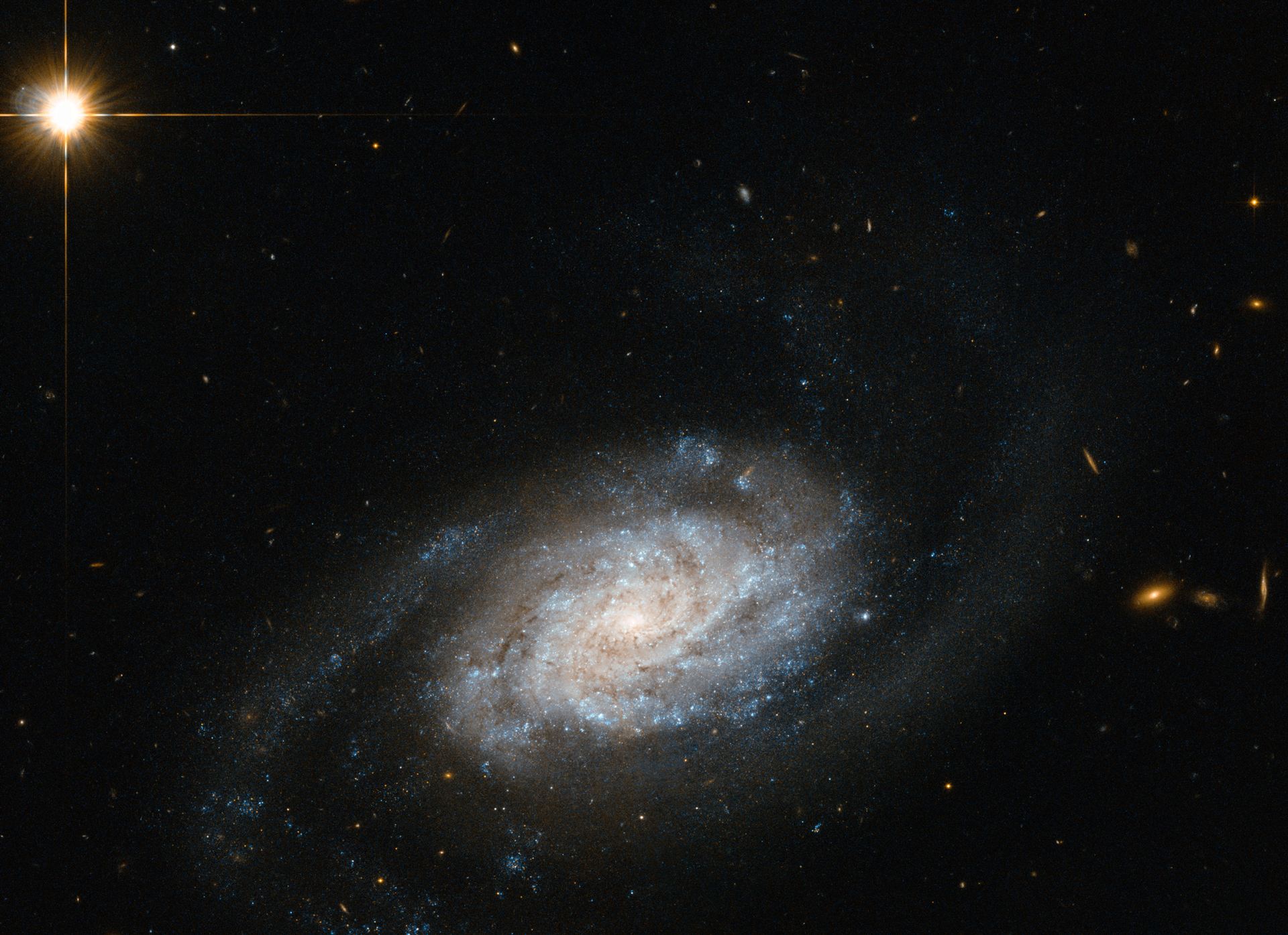 Galaxies spiralling around Leo