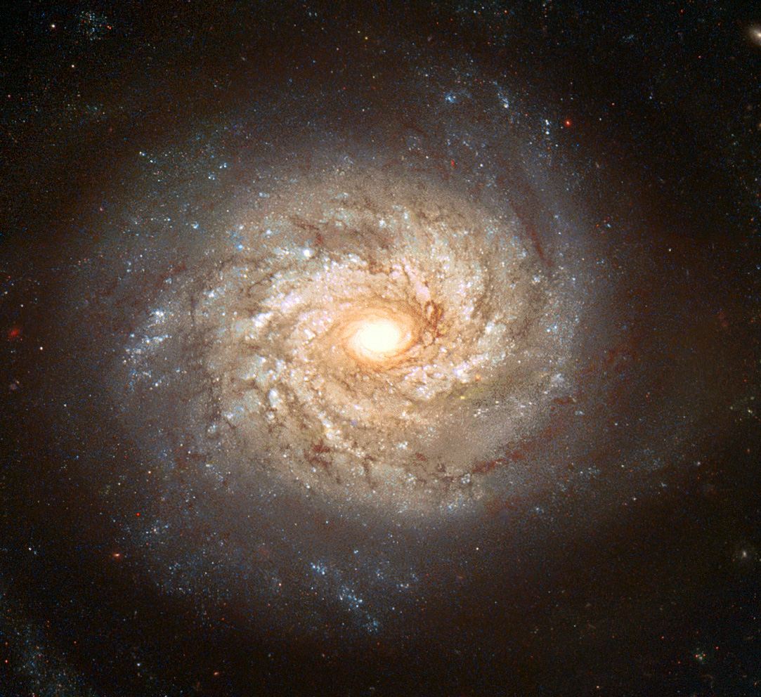 Galaxy NGC 3982