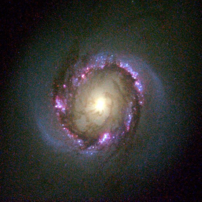 Galaxy NGC 4314 (Hubble view)