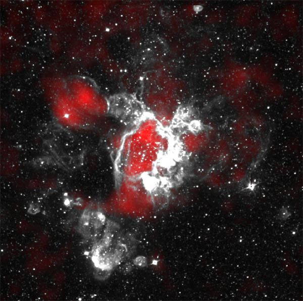 Gaseous Streamers Flutter in Stellar Breeze
