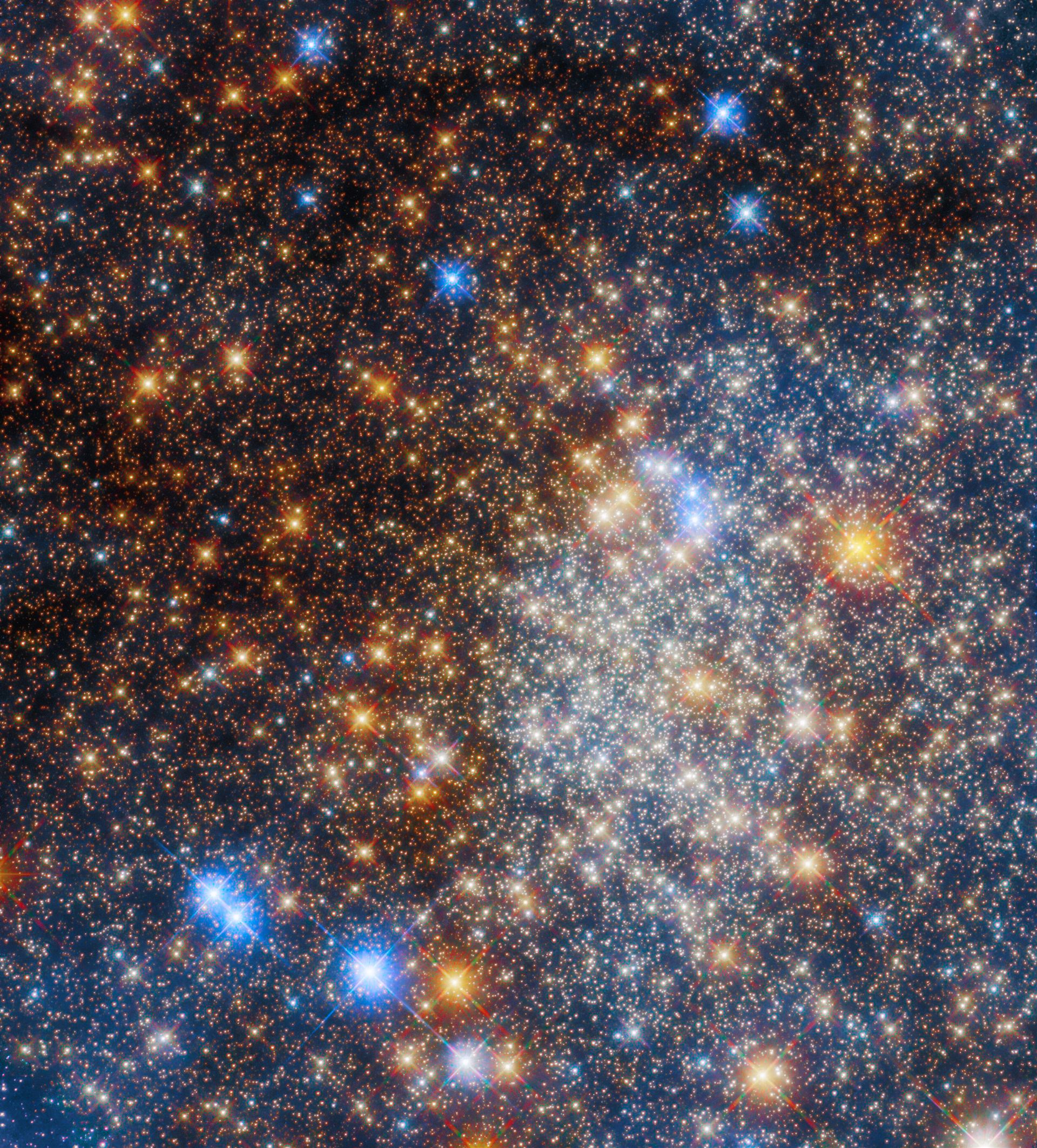 Glittering globular cluster Terzan 12