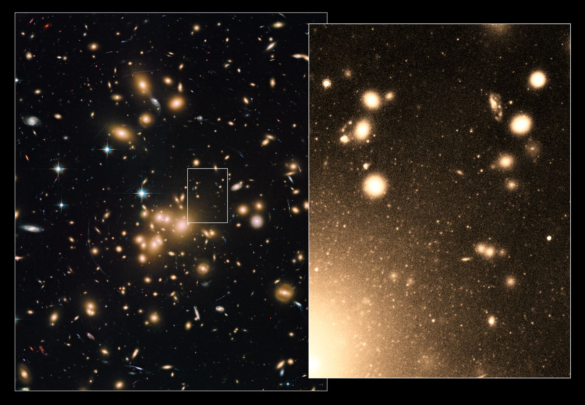 Globular clusters within Abell 1689