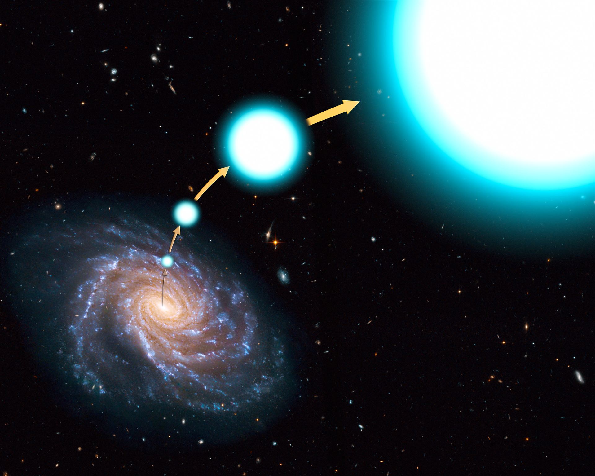 Going, going, gone star leaves the Milky Way