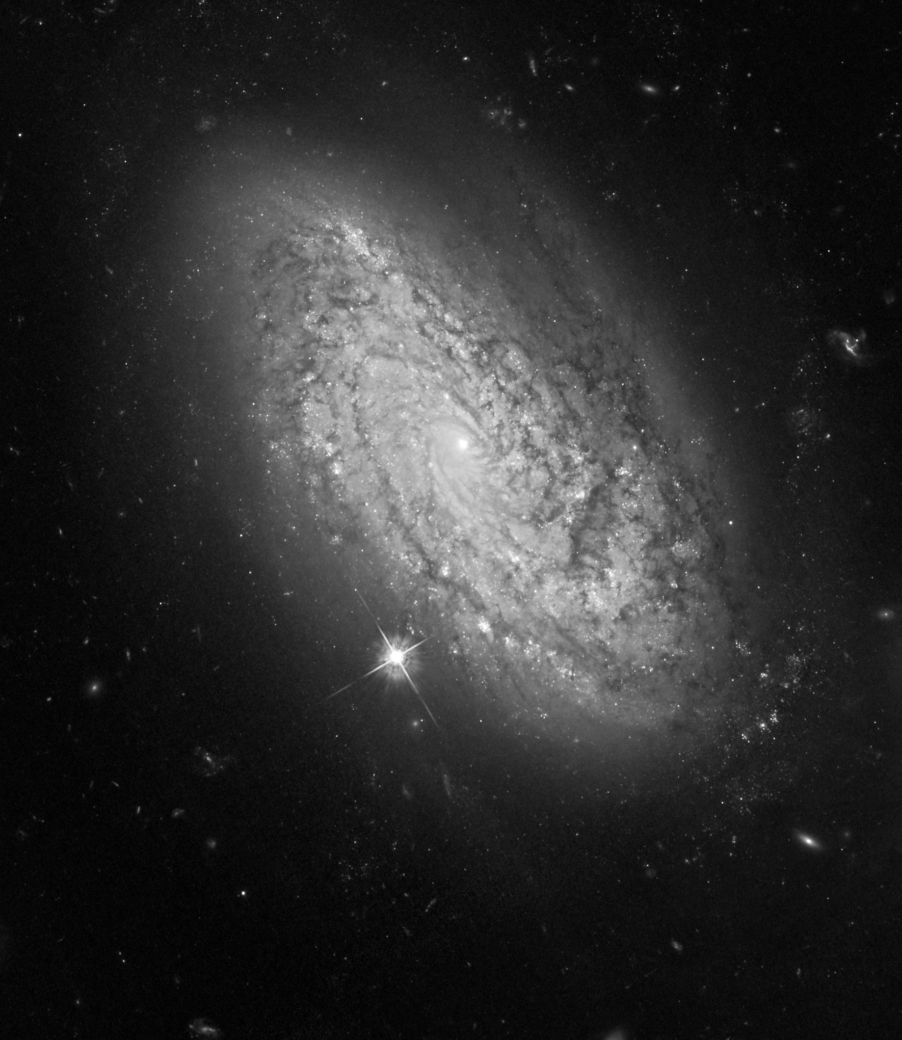 HST ACSWFC image of NGC 3021