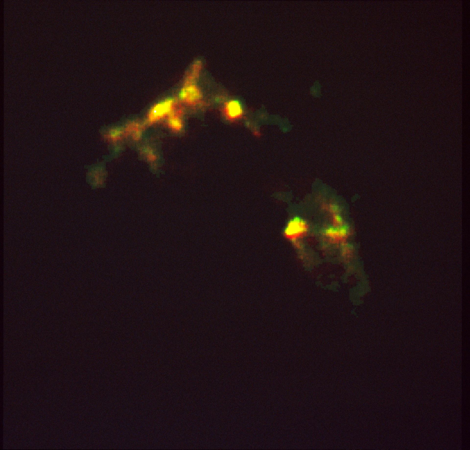 HST reveals growth processes of young star