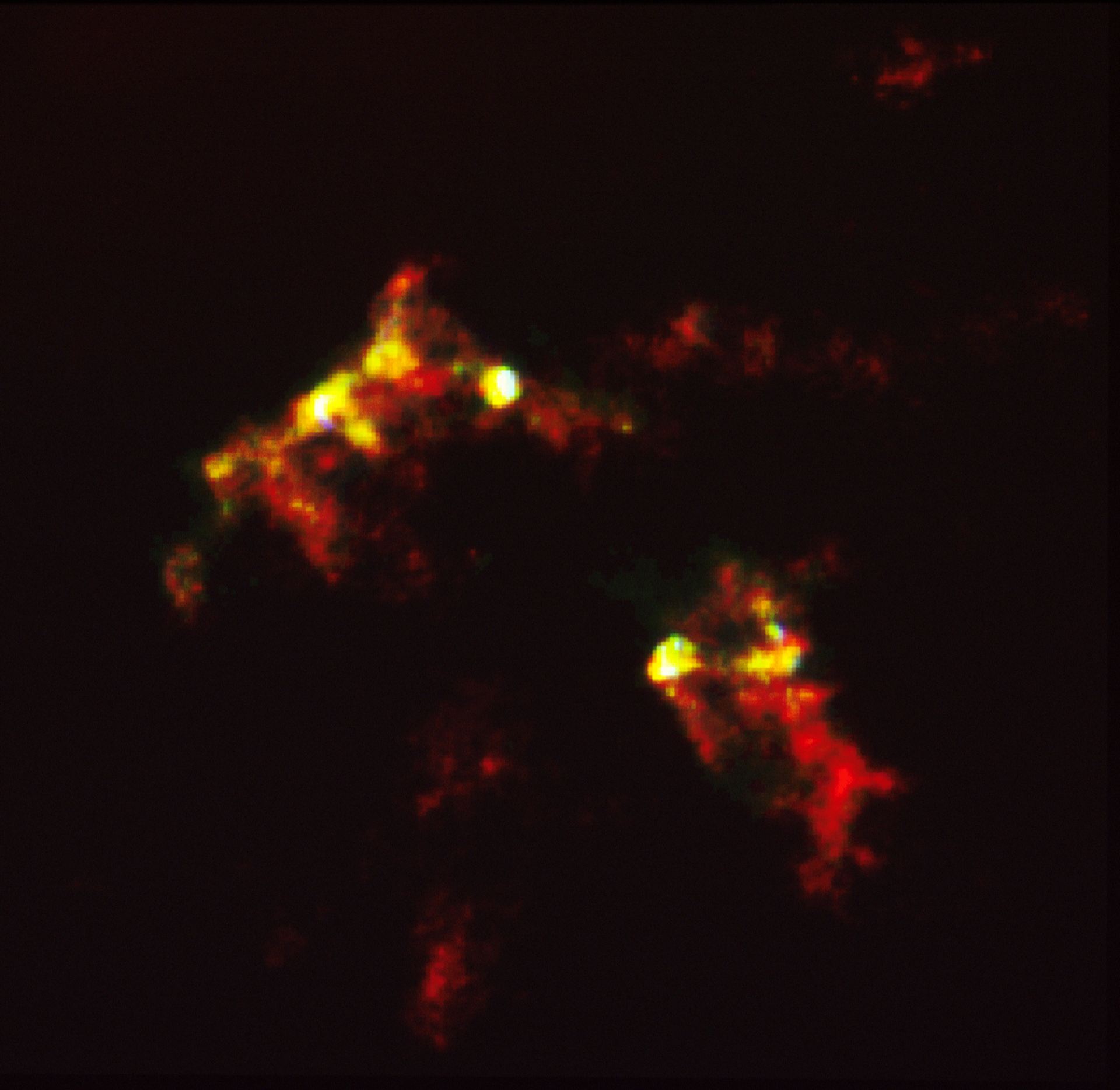 HST reveals growth processes of young star