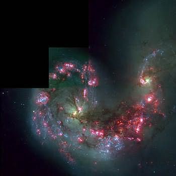 HSTWFPC2 image of colliding galaxies NGC 4038 and NGC 4039