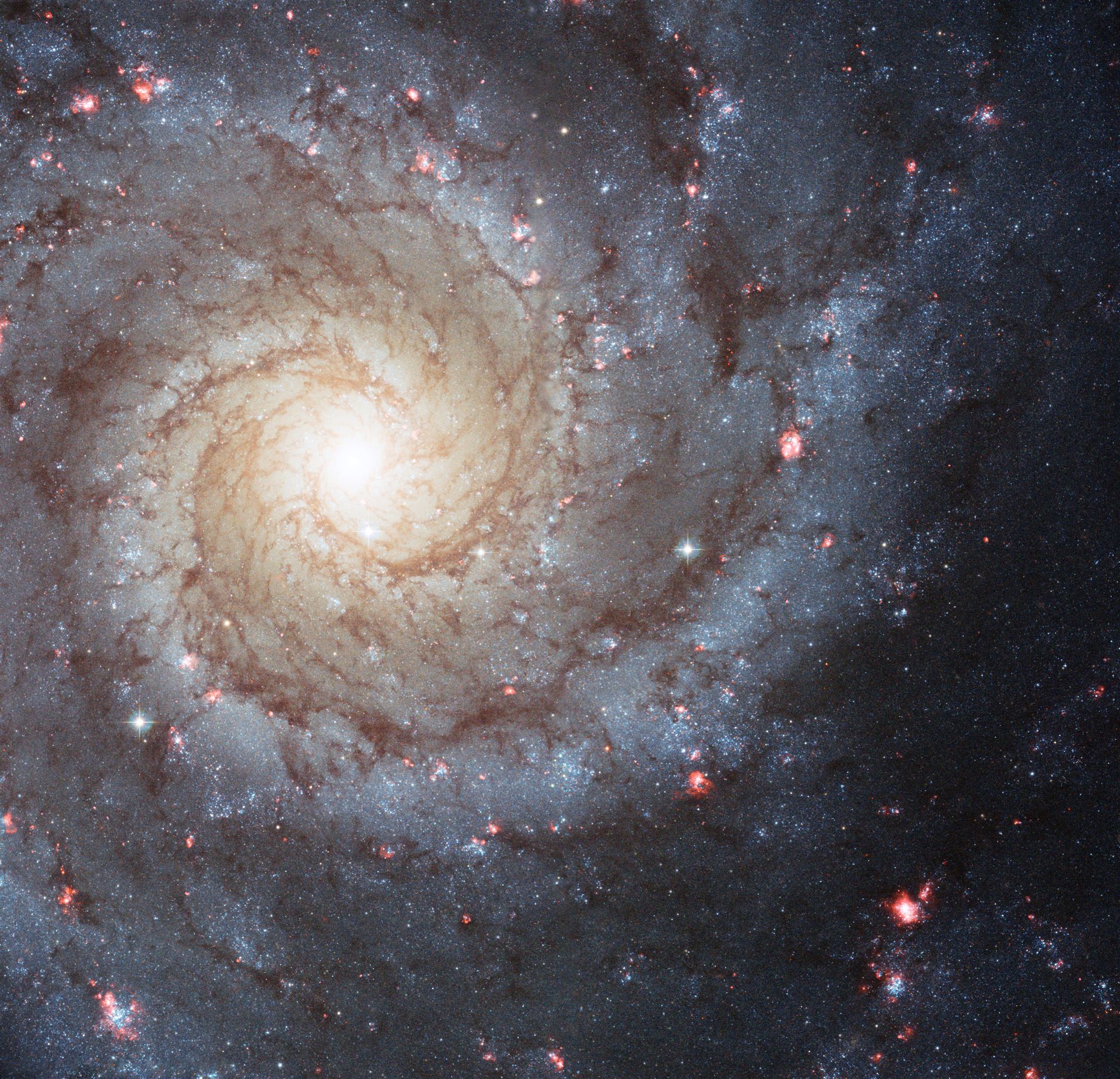 Holiday wishes from the Hubble Space Telescope