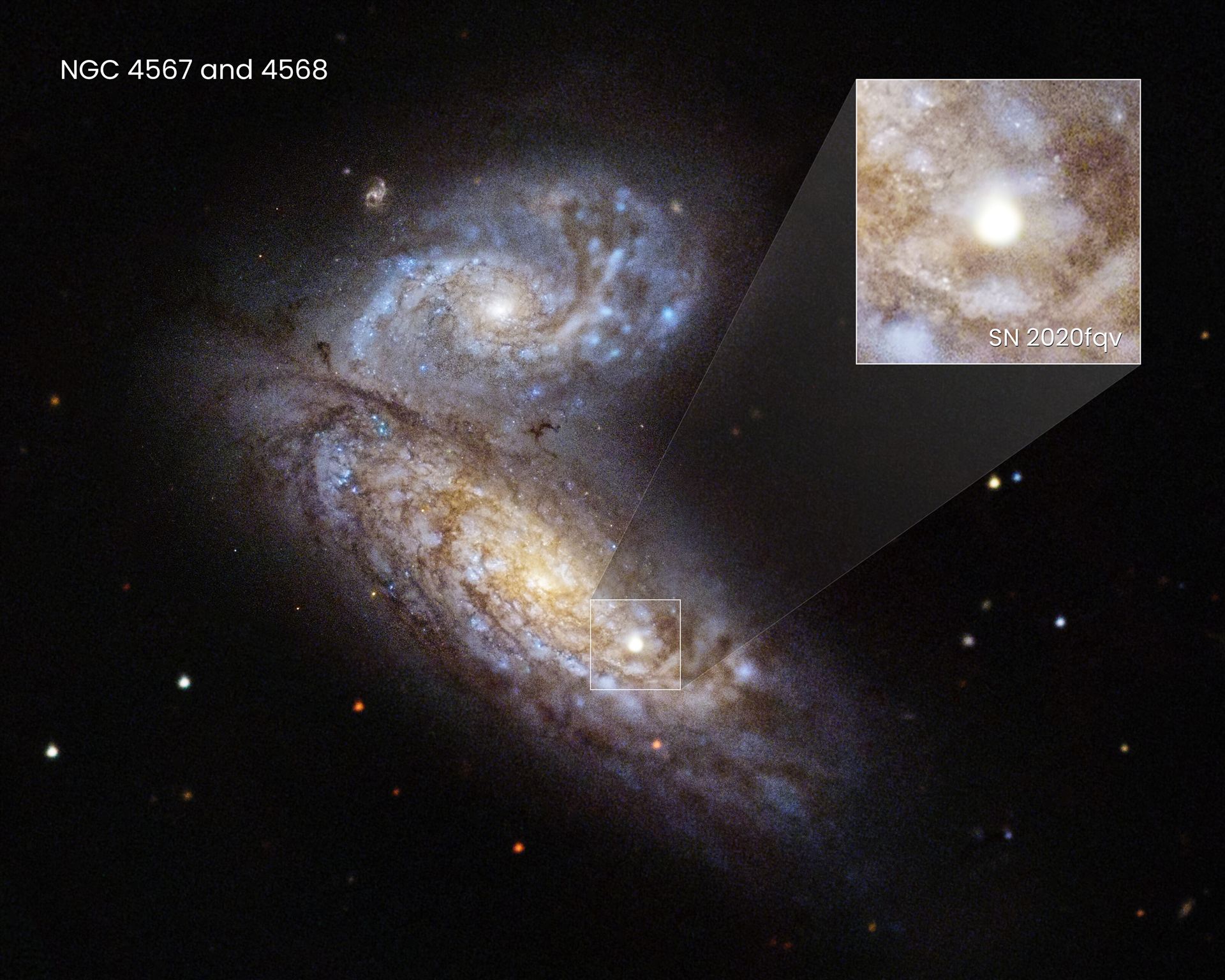 Hubble Captures Supernova in NGC 4568