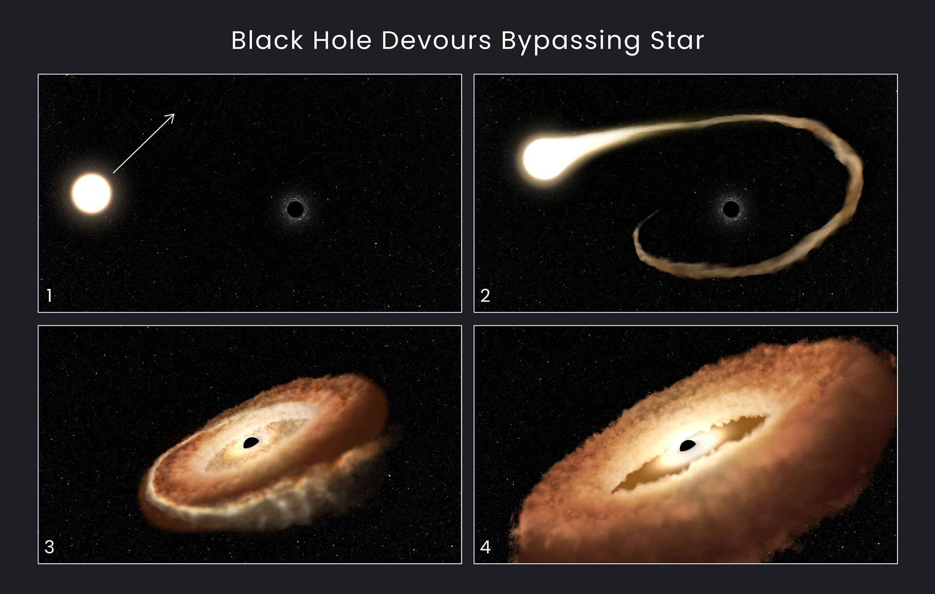 Hubble Finds Hungry Black Hole Twisting Captured Star Into Donut Shape