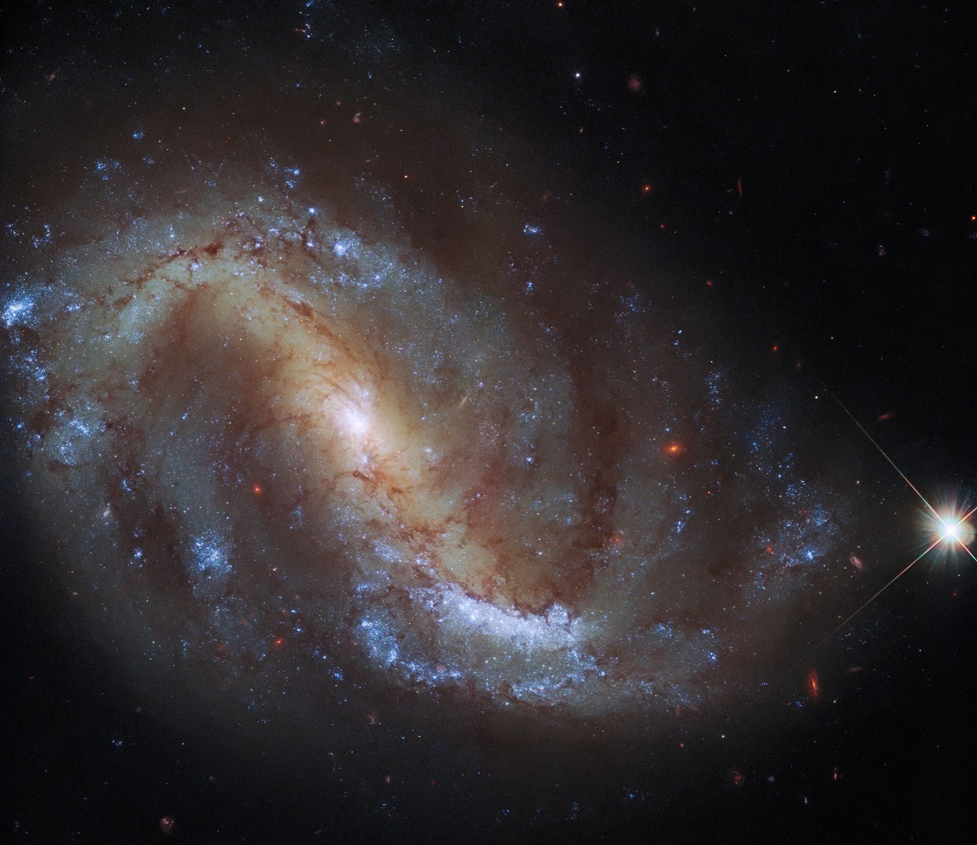 Hubble Goes Galactic Birdwatching