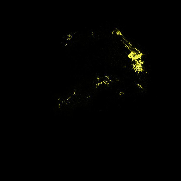 Hubble Space Telescope Visible-Light Data of Kepler&rsquo;s Supernova Remnant