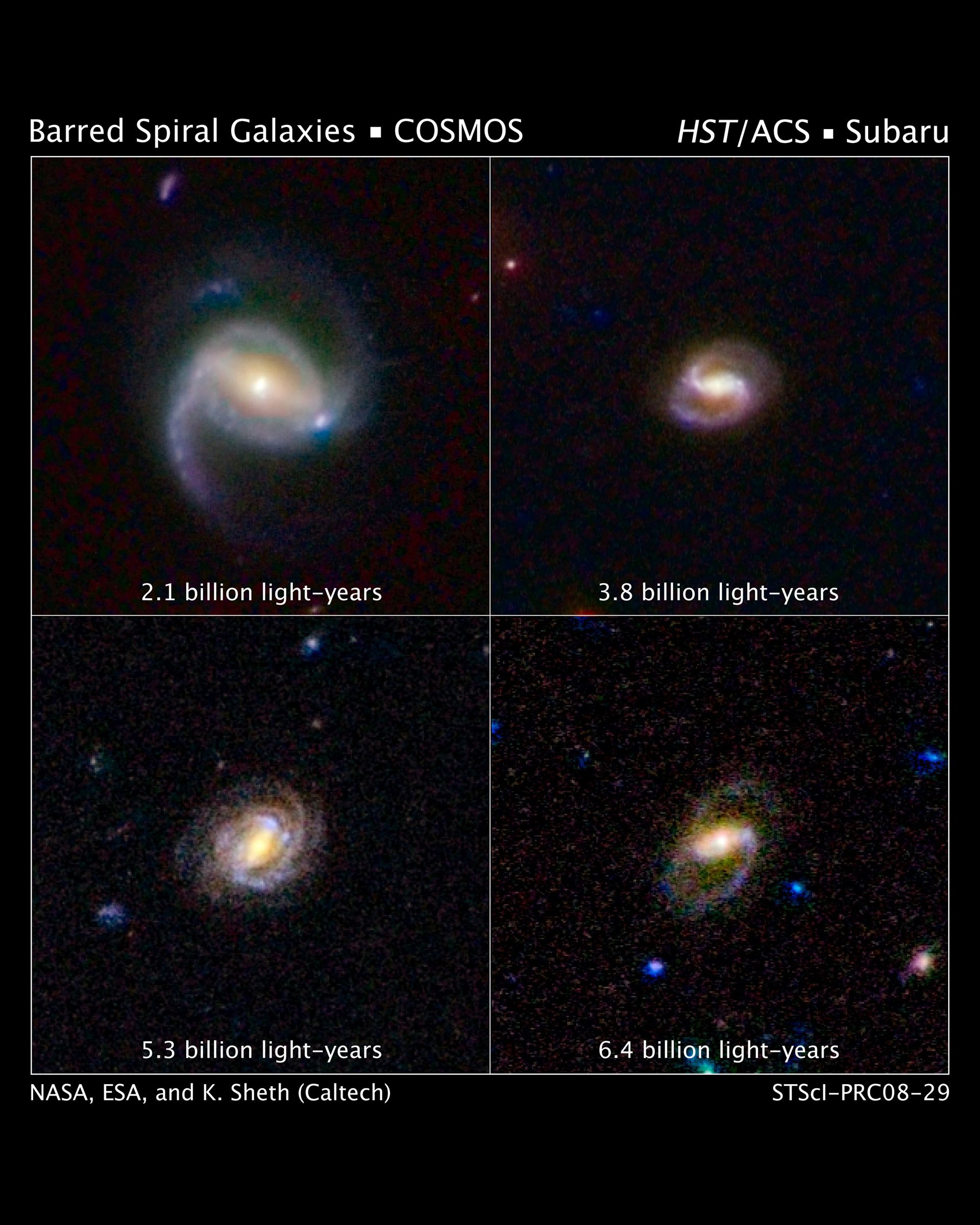 Hubble Surveys Barred Spiral Galaxies